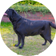 美しいスタイル♪